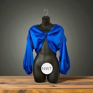 SHEIN SXY, Royal Blue Satin Long Sleeve Crop
Top, Medium / US 6